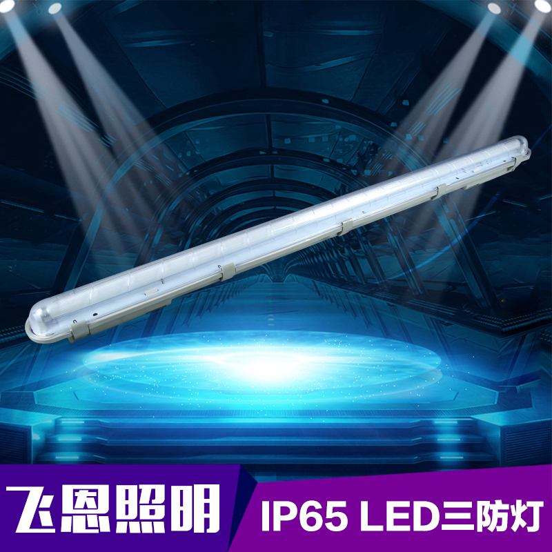 LED 三防灯 IP65 型号：FI81-106E	
