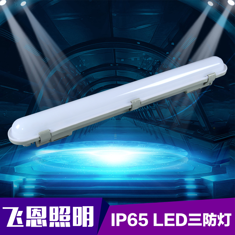 FEIEN IP65 LED tri-proof lights