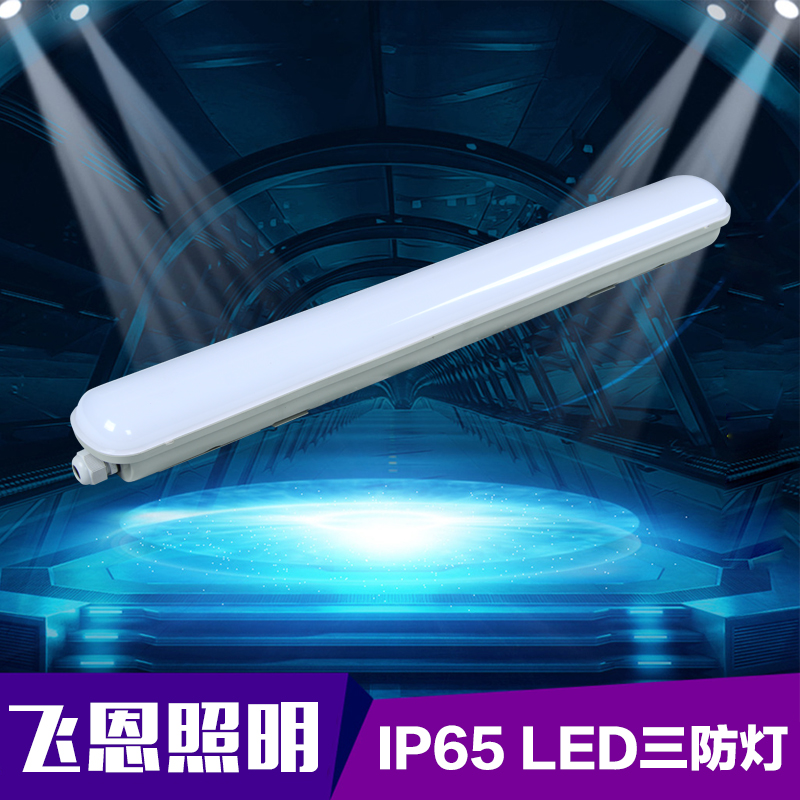 飞恩 LED三防灯 型号：FE01-106 9W