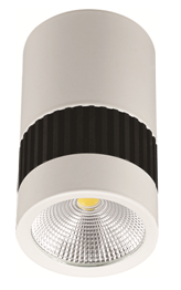  金朗卡 LED吸顶灯 L11420S-13