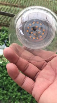 LED球泡植物生长飞碟灯透明 塑包铝球泡灯 色温多选