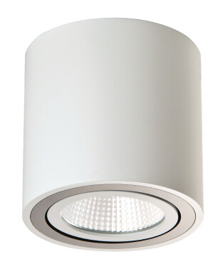 牧羊人坐标 艾迪森光源 明装筒灯 9瓦