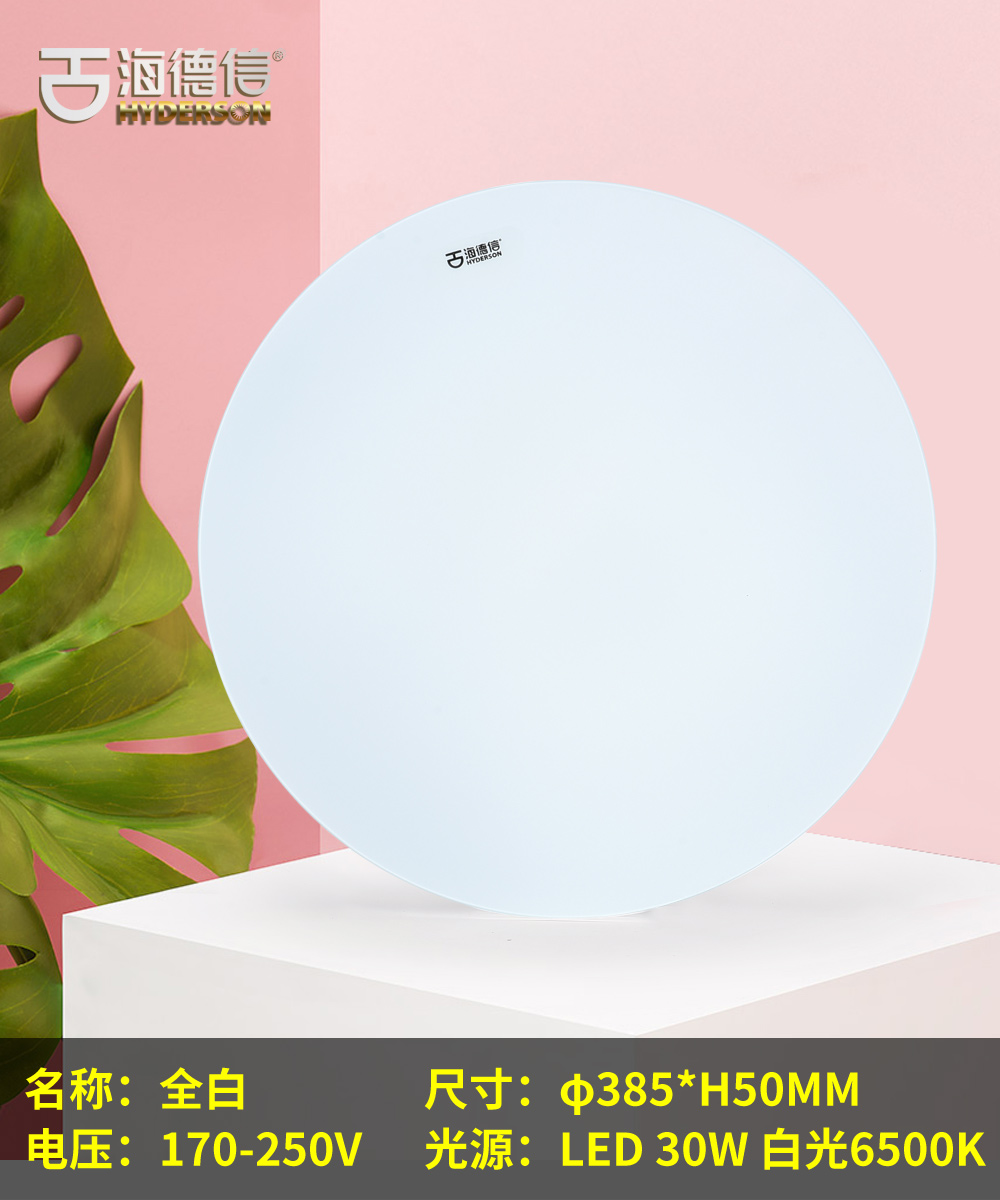 海德信照明 海靓客卧灯 现代简约圆形led吸顶灯全白 白光变光38w/30w